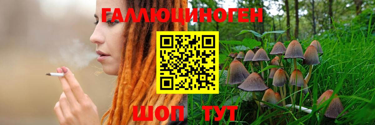 Псилоцибиновые грибы MAGIC MUSHROOMS Азов